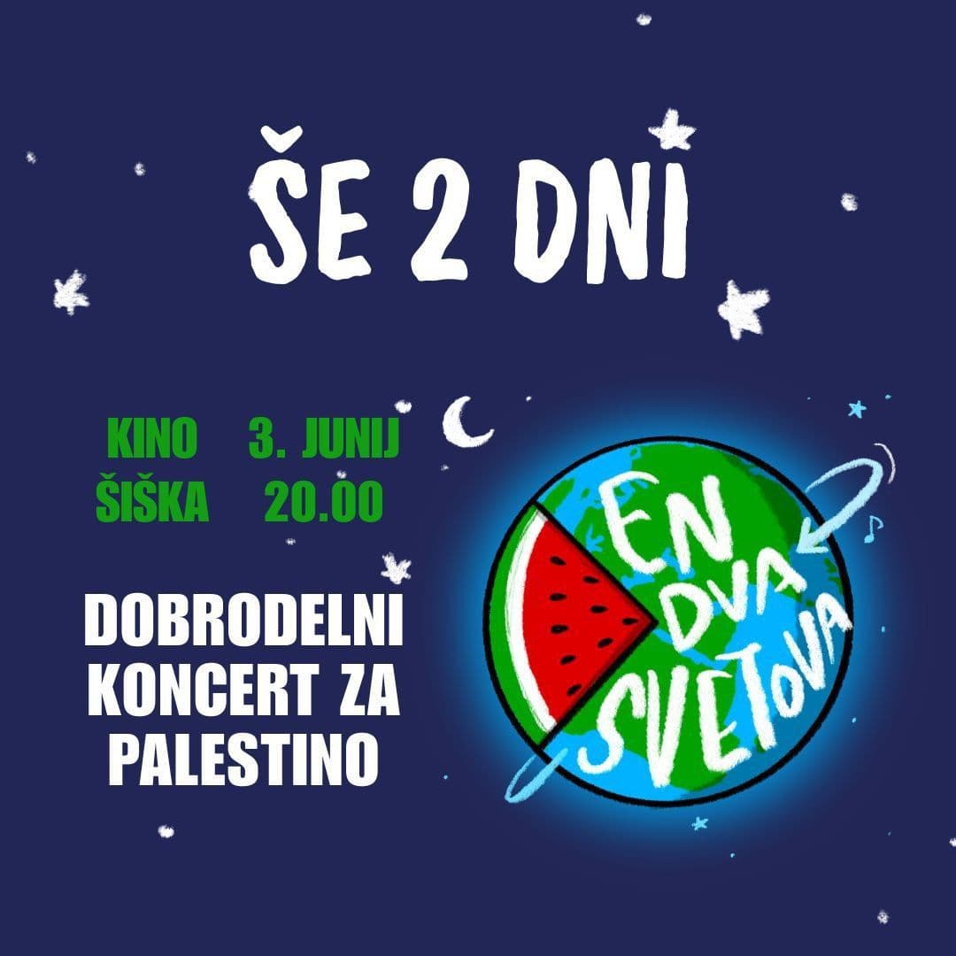 DOBRODELNI KONGERT ZA PALESTINO