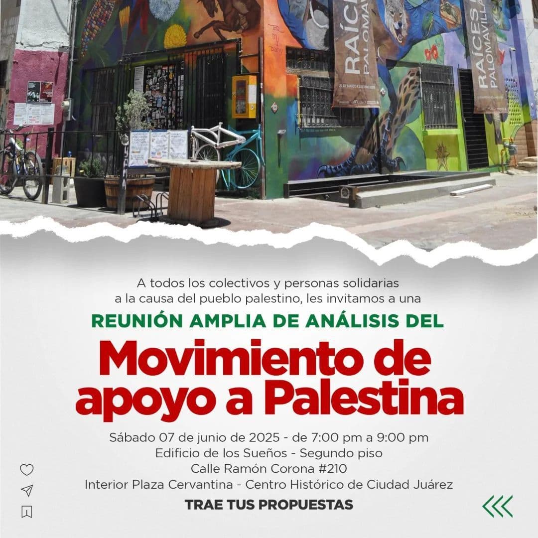 Movimiento de apoyo a Palestina