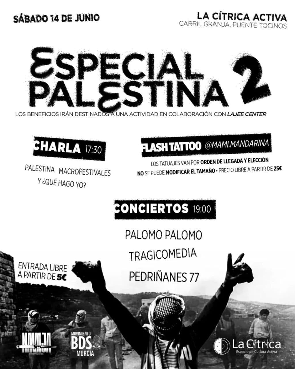 Especial Palestina 2