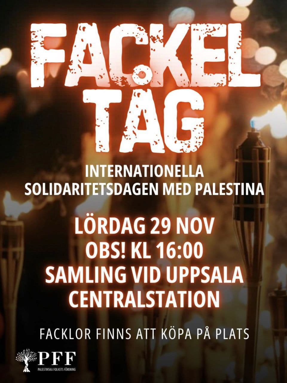 Fackeltåg på Internationella solidaritetsdagen med Palestina 
