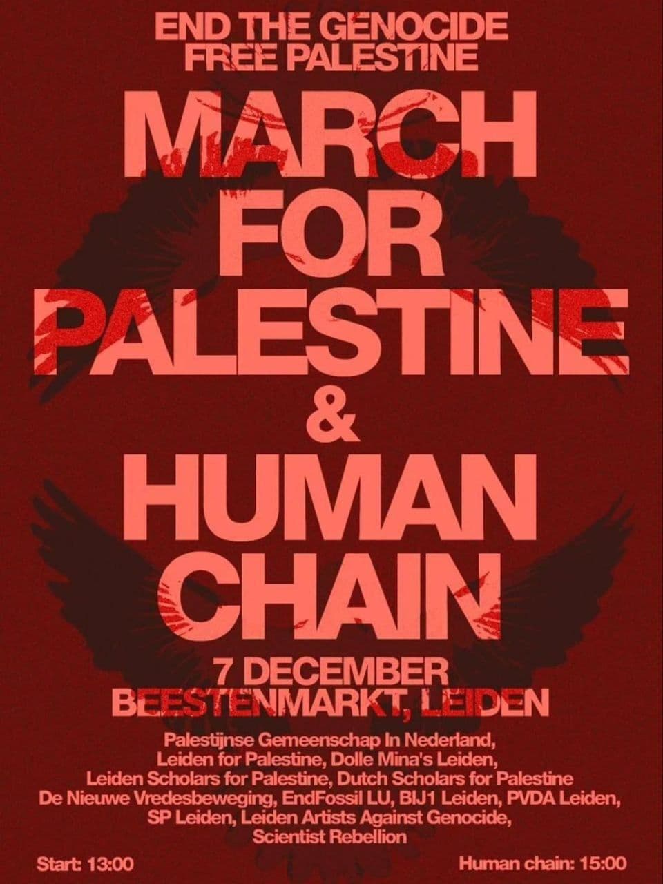 MARCH FOR PALESTINE & HUMAN CHAIN